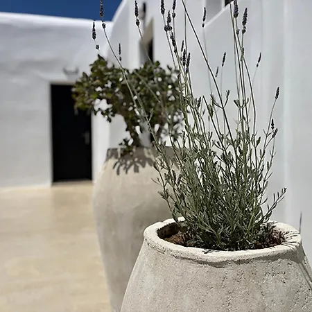 Maria's Private Space - Mykonos *
